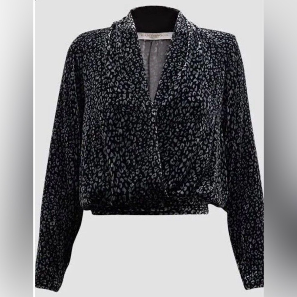 Ramy Brook NWOT Jordyn Leopard Print Velvet Blouse Silk Blend